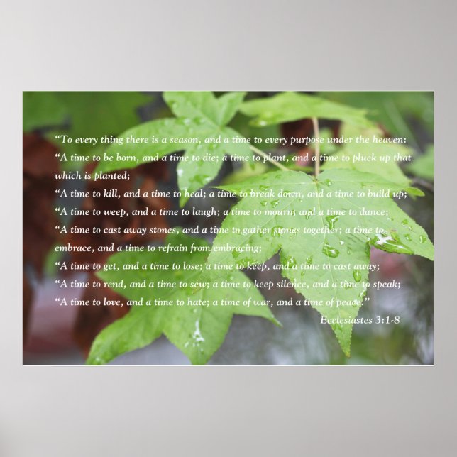Ecclesiastes 3:1 Scripture Poster (Version B) (Vorne)