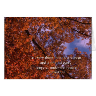 Ecclesiastes 3:1 Zu allem gibt es eine Saison
