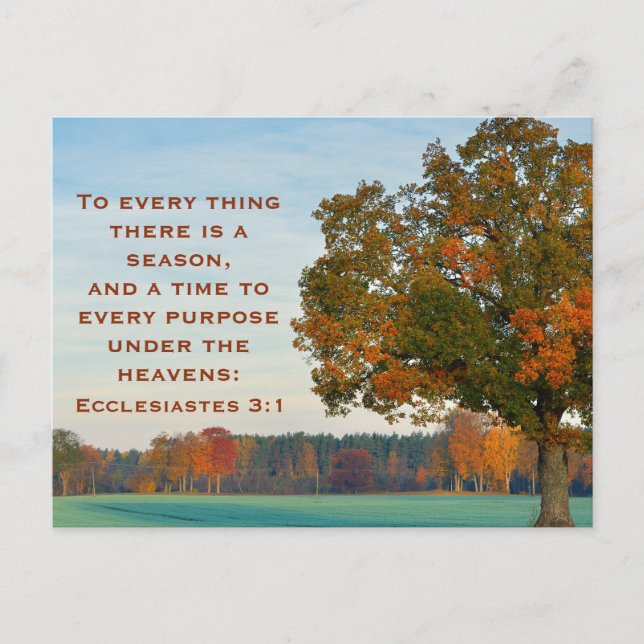 Ecclesiastes 3:1 Zu allem, was es eine Saison gibt Postkarte (Vorderseite)