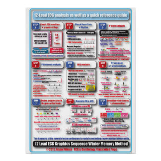 ECG-Ausbildungspaket Poster