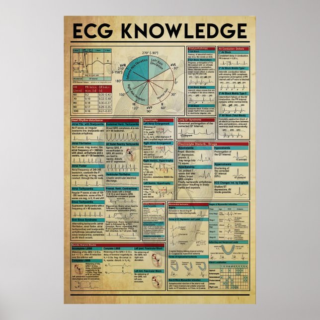 ECG Knowledge Poster, Cardiology Knowledge Poster (Vorne)