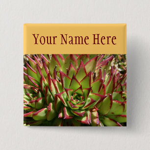 Echeveria Button-zurück Knopf-Namensschild Button