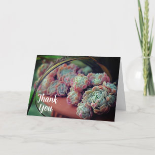 Echeveria-Rose Sukkulente gepunktete Pflanze Dankeskarte