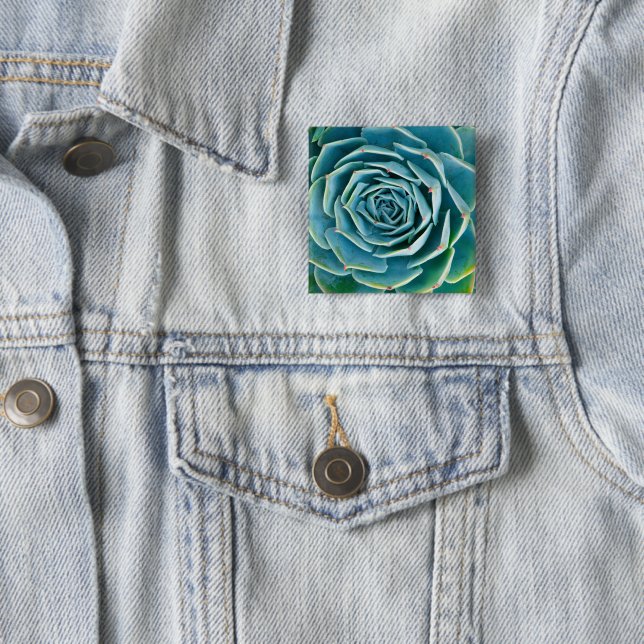 Echeveria-Rosette, Geheimgarten von Marrakesch Button (Beispiel)
