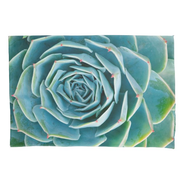 Echeveria-Rosette, Geheimgarten von Marrakesch Kissenbezug (Vorderseite)