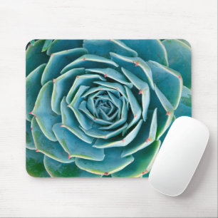 Echeveria-Rosette, Geheimgarten von Marrakesch Mousepad