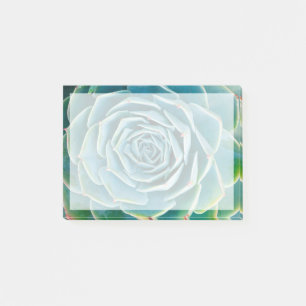 Echeveria-Rosette, Geheimgarten von Marrakesch Post-it Klebezettel