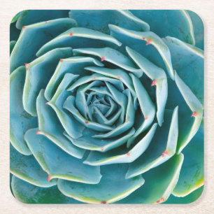 Echeveria-Rosette, Geheimgarten von Marrakesch Rechteckiger Pappuntersetzer
