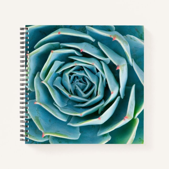 Echeveria Rosette, Secret Garden of Marrakech Notizbuch (Vorderseite)