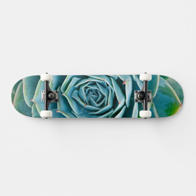 Echeveria Rosette, Secret Garden of Marrakech Skateboard (Horizontal)