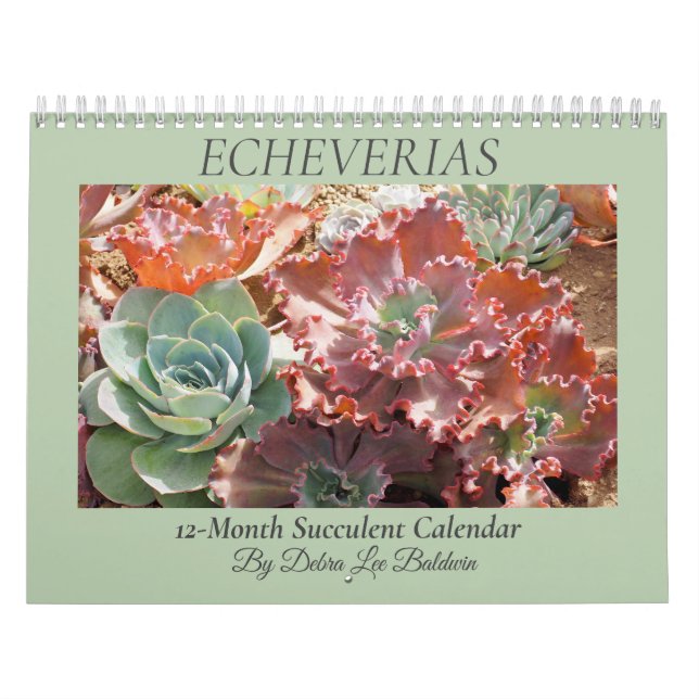 Echeverias Sukkulent 12 Monate Kalender (Titelbild)