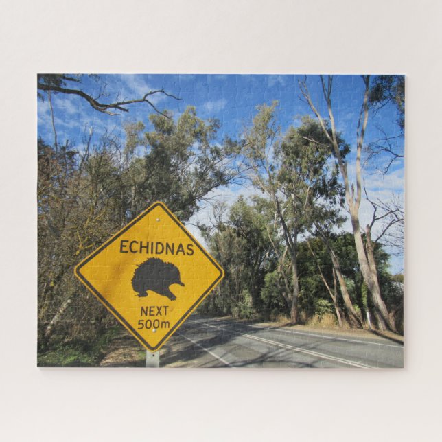 Echidna (Horizontal)