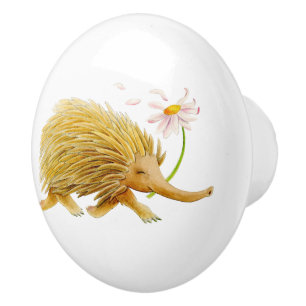 Echidna animal aquarelle whimsy art bouton