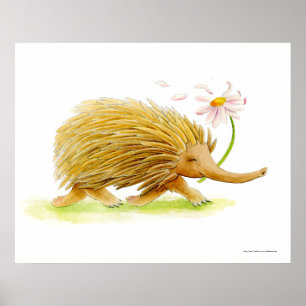 Echidna Aquarell-Launen Kunstposter Poster