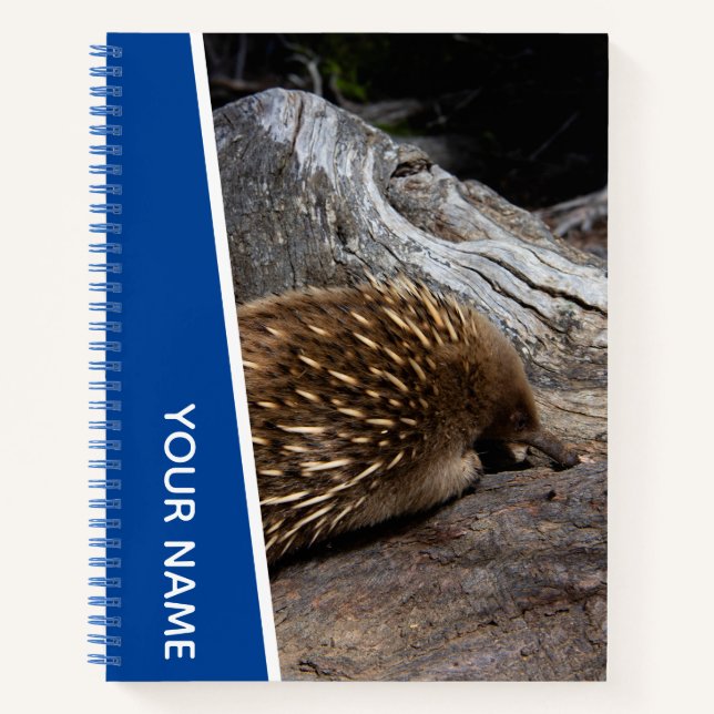Echidna Australia Niedlich Spiky Animal, Blue Notizbuch (Vorderseite)
