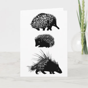 Echidna, hérisson, carte de voeux de porc-épic