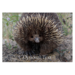 Echidna oder stacheliger Anteater Australien Schneidebrett