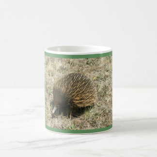 ECHIDNA Tasse
