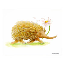 Echidna Wassercolor-Poster