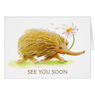 Echidna whimna animal aquarelle voir bientôt carte