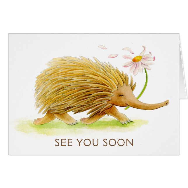 Echidna whimna animal aquarelle voir bientôt carte (Devant horizontal)
