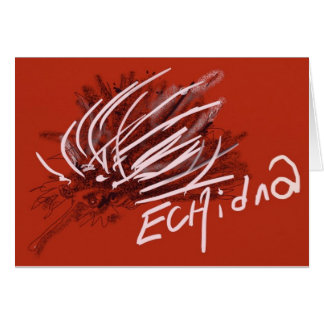 Echidnaanteater-Stachelschwein-Igel Ameisenesser