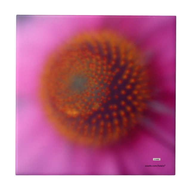 Echinacea-Blume Fliese (Vorderseite)