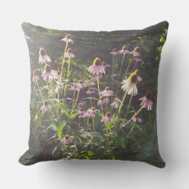 Echinacea-Blume in der Sonne Kissen