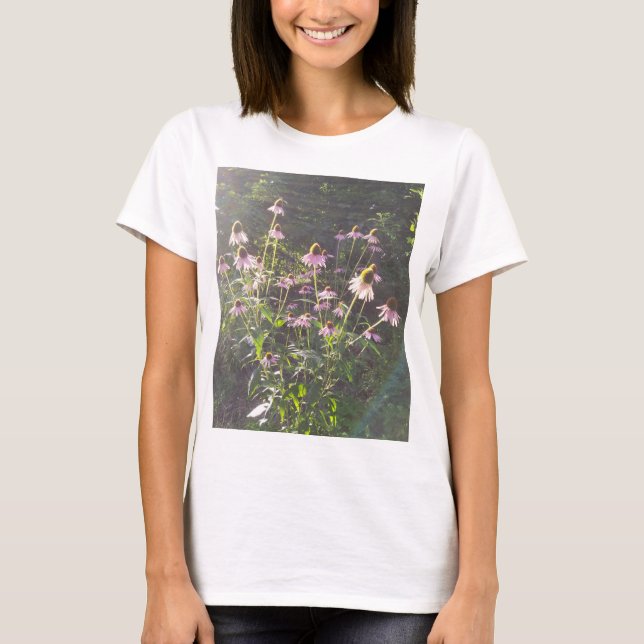 Echinacea-Blume in der Sonne T-Shirt (Vorderseite)