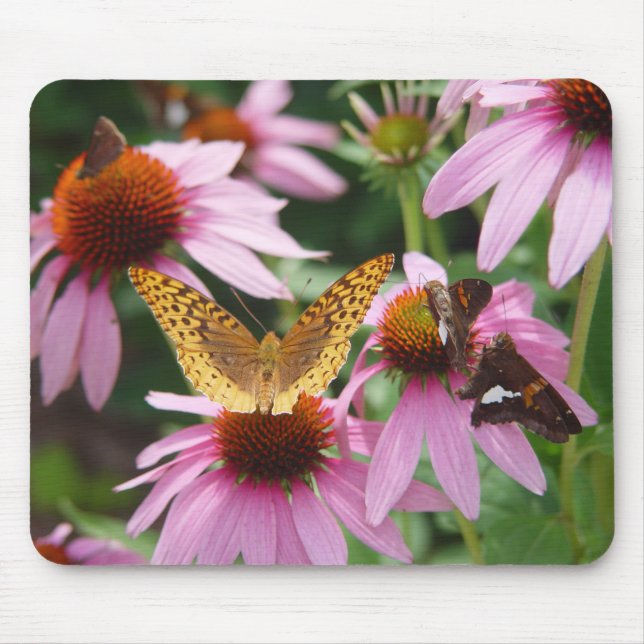 Echinacea Bush Butterflies Mousepad (Vorne)