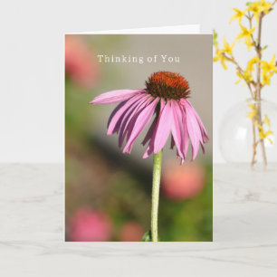 Echinacea In Gedanken an Dich (Fotografie von mir) Karte