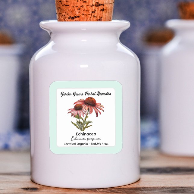 Echinacea Lila Verdickungsmittel Quadratischer Aufkleber (Von Creator hochgeladen)