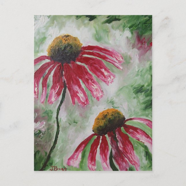 Echinacea Postkarte (Vorderseite)