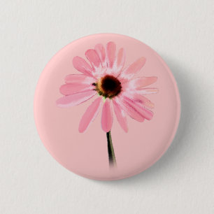 Echinacea purpurea button