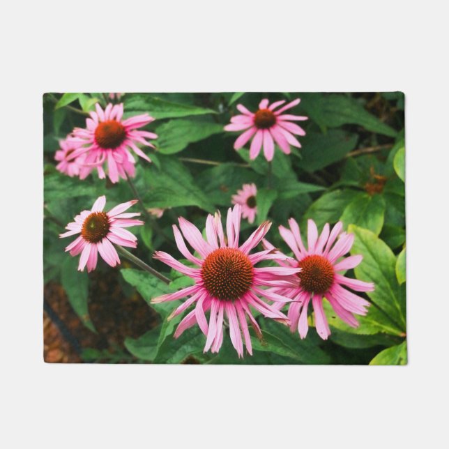 Echinacea Purpurea, Lila Blumenkohl Fußmatte (Vorderseite)