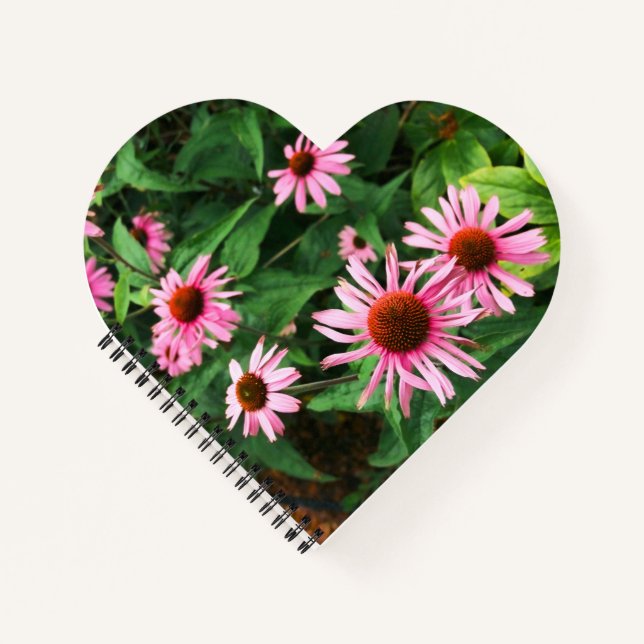 Echinacea Purpurea, Lila Blumenkohl Notizbuch (Vorderseite)