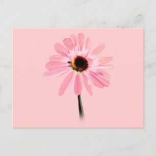 Echinacea purpurea postkarte