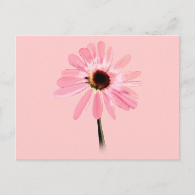 Echinacea purpurea postkarte (Vorderseite)