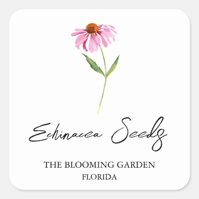 Echinacea-Saatschild Quadratischer Aufkleber (Vorderseite)