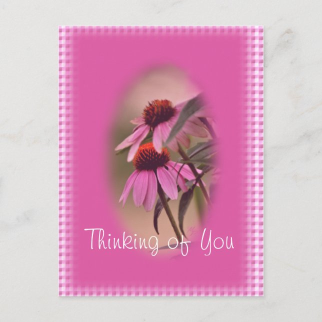 Echinacea & Seersucker Postcard - personalisieren Postkarte (Vorderseite)