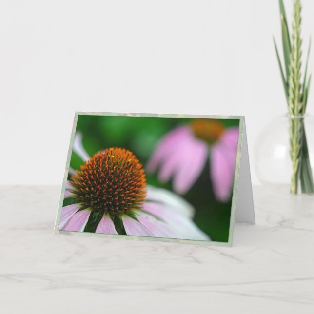 Echinacea zwei karte (Vorderseite)