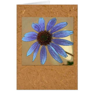 Echinacée bleue