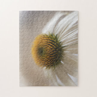 Échinacée Cygne Blanc Envoûtante Puzzle