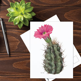 Echinocereus Cactus Mary Emily Eaton Postkarte