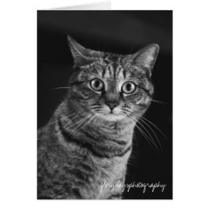 Echo, bw, D300, Glorydaysphotographie