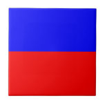 ECHO FLIESE<br><div class="desc">Symbol für die autonome Flagge ECHO</div>