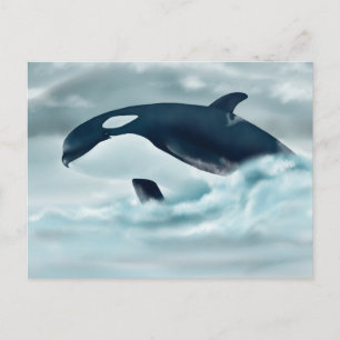 Echo (J42) Postkarte