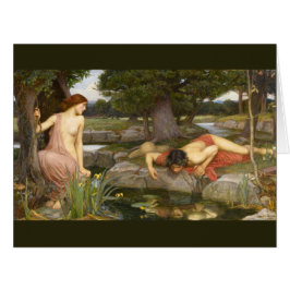 Echo und Narcissus von John William Waterhouse