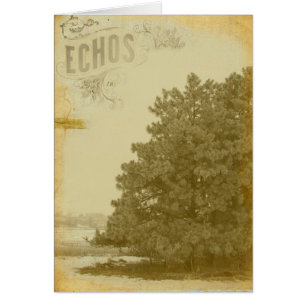 Echos des Winters