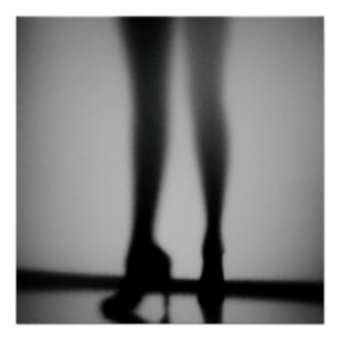 Echos im Schatten Poster